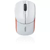 Rapoo 1190 mouse Ambidextrous RF Wireless Optical 1000 DPI