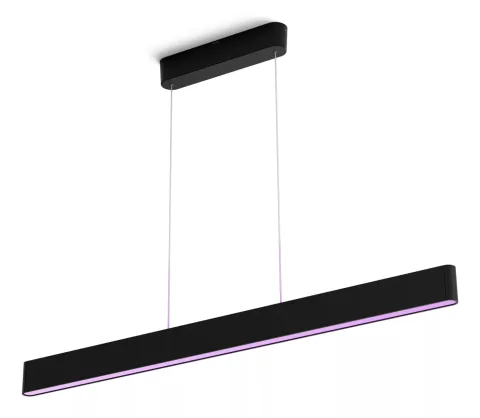 Ensis pendant light