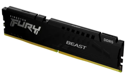 Kingston Technology KF556C36BBE-32