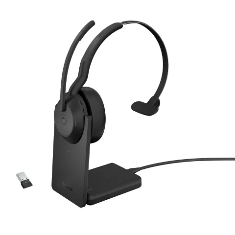 Evolve2 55 - Link380a MS Mono (Include Stand)